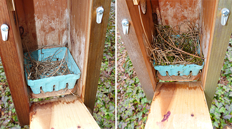 This nest, at the Picnic Dome has had at least tow owners (3/18/14 left, 3/25/14 right).