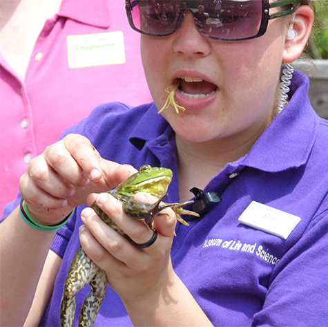 Erin (formerly, Animal Dept, Guest relations...) show bullfrog to summer campers. Note honeysuckle flowers hanging from Erin's lip.