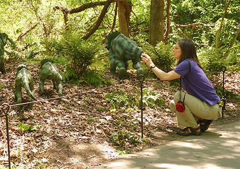 Jennifer (Exhibits) photographs a leptoceratops on the Dino Trail.