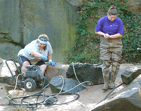 Sherry and Katy (Animal Dept) ponder their next move while cleaning the pool in the black bear enclosure. 