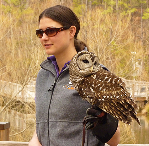 Trish (Education) with Christopher the barred owl in Explore the Wild.