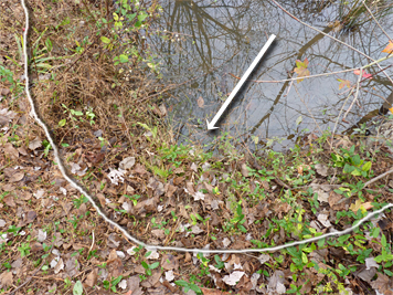 Arrow shows location of outflow pipe. The narrow curved line shows the high water mark.