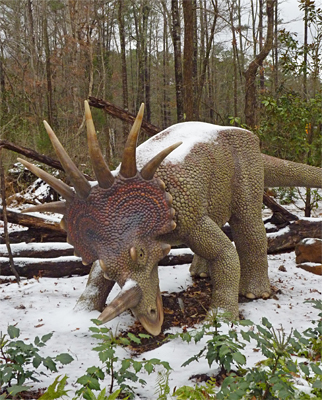 Styrracosaurus readies for the Albertosaurus. Are these dinosaurs cold-blooded?