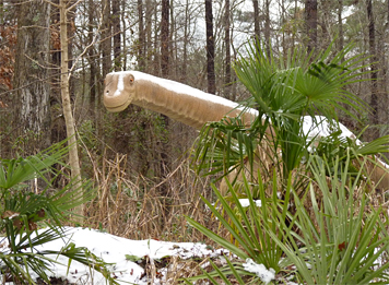 Peeking out from behind a palmeto, the Alamosaurus.