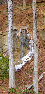 The falls in the Red Wolf Enclosure.