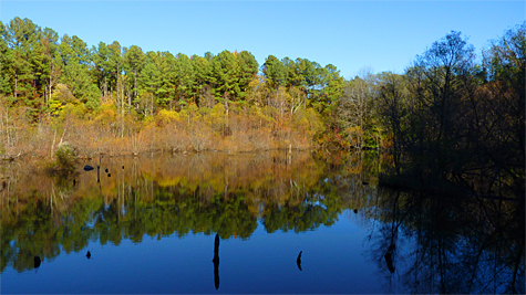 wetlands