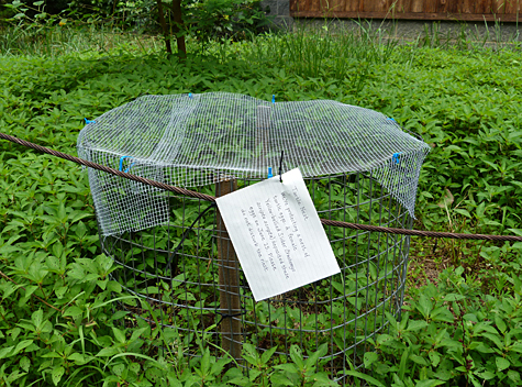 The varmint eliminator with signage attached.