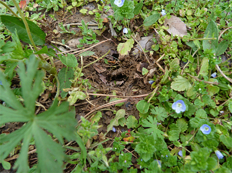 The hole that caught my eye.