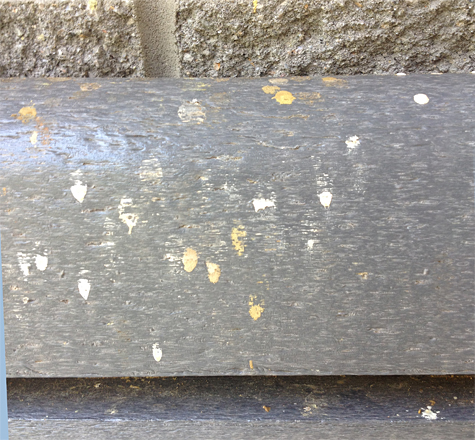 The waste product from burrowing carpenter bees.
