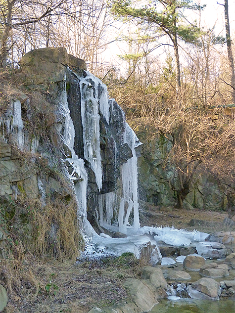 The waterfall at the Black Bear Enclosure.