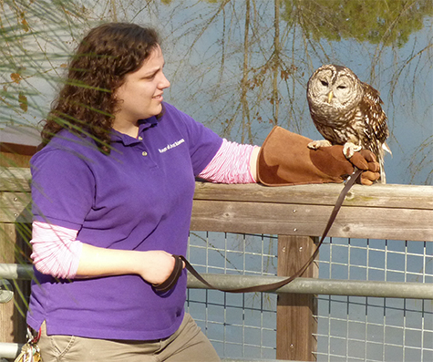 Anna (Education) and Christopher the barred owl on boardwalk.