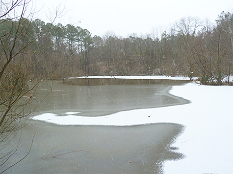 The Wetlands.