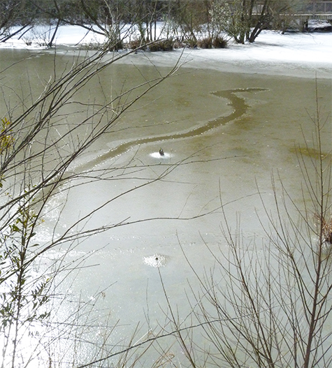 The track continues across the water, then suddenly stops.