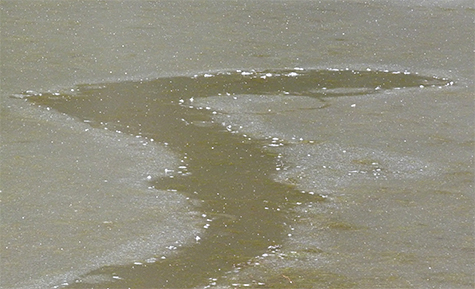 The track widens and wanders from left to right near the end.