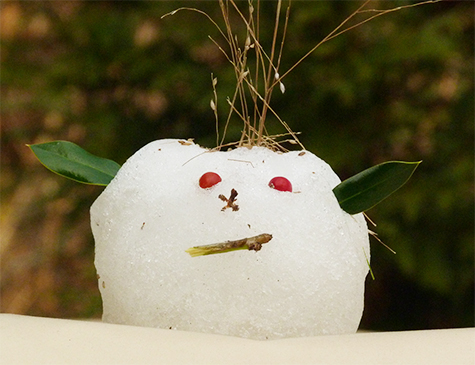 This snowman mysteriously appear on the roof of the Guest Relations golf cart following a brief storm storm.