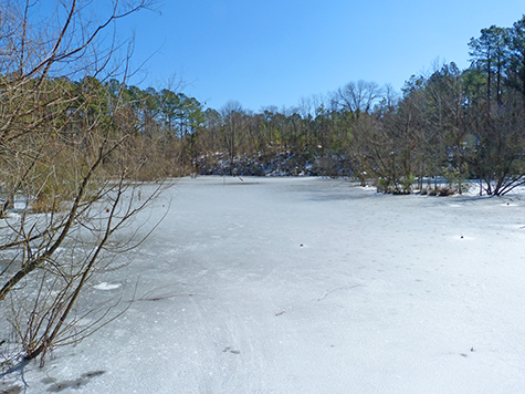 The Wetlands is frozen.