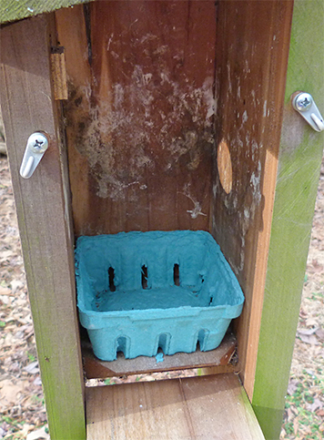 The nest box at the Train Tunnel was empty (3/17/15).