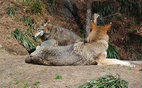 Female in foreground. She looks over, "Here he comes again."