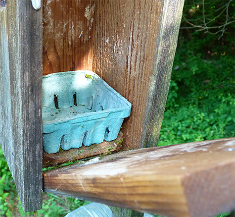 All of our nest boxes look like this, empty (5/26/15).
