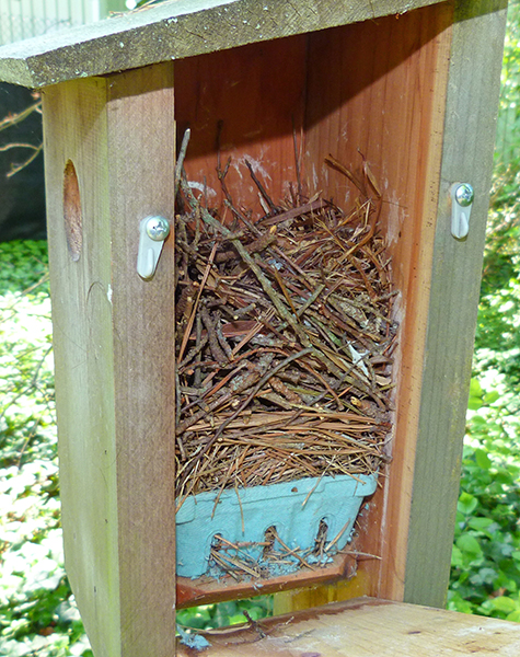 A complete house wren nest at the Picnic Dome (5/5/15).