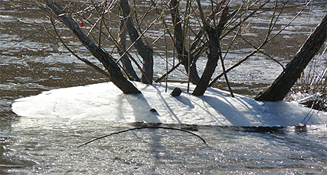 Ice from the previous night's freeze is suspended above current pond's water level.