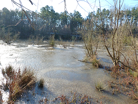 It appears that overnight, something was keeping a small bit of water from freezing (darker area central foreground).