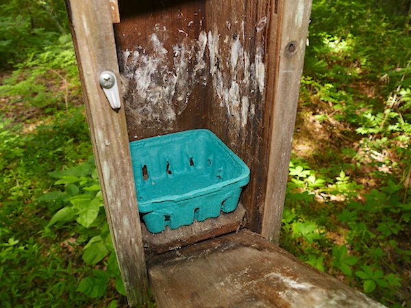 Nest Box Update 5.19.22 | Nature Watch